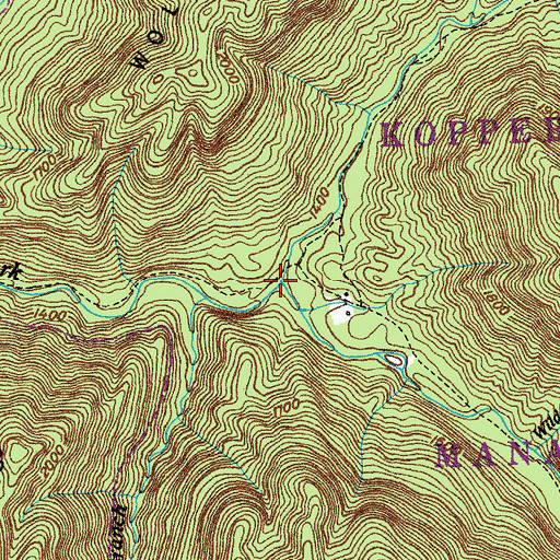 Topographic Map of McKinney Fork, TN