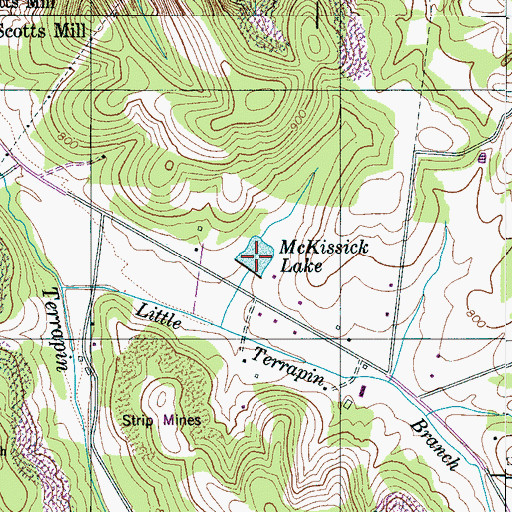 Topographic Map of McKissick Lake, TN