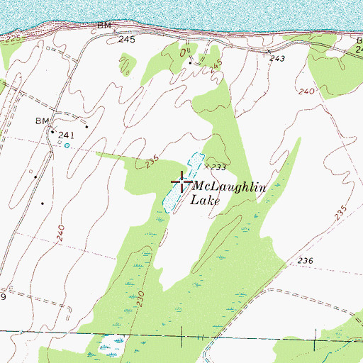 Topographic Map of McLaughlin Lake, TN