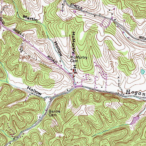 Topographic Map of McMurtry Hollow, TN