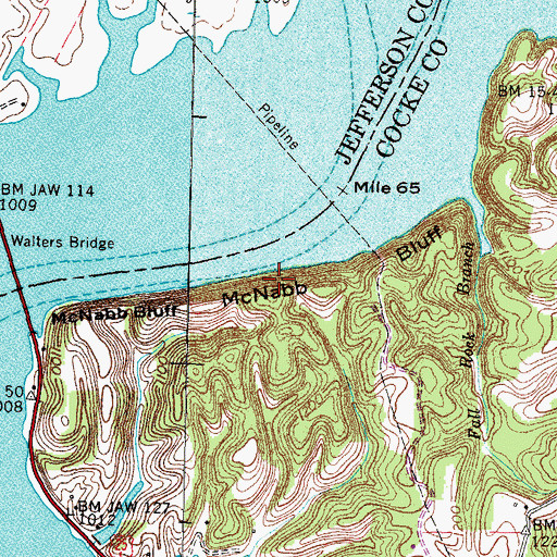 Topographic Map of McNabb Bluff, TN