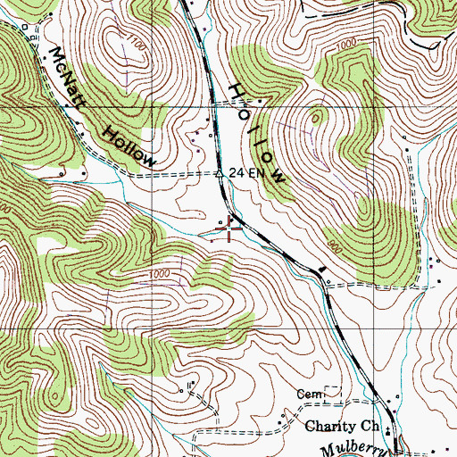 Topographic Map of McNatt Hollow, TN