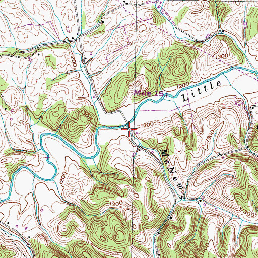 Topographic Map of McNew Branch, TN