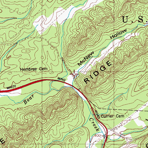 Topographic Map of McNew Hollow, TN