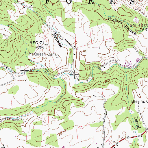 Topographic Map of McQueen Branch, TN