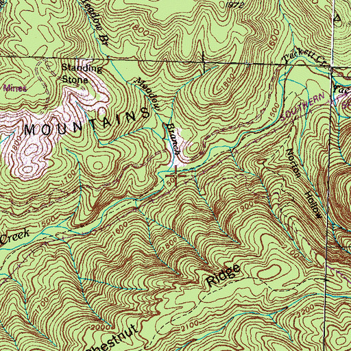 Topographic Map of Meadow Branch, TN
