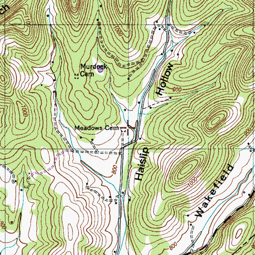 Topographic Map of Meadows Cemetery, TN