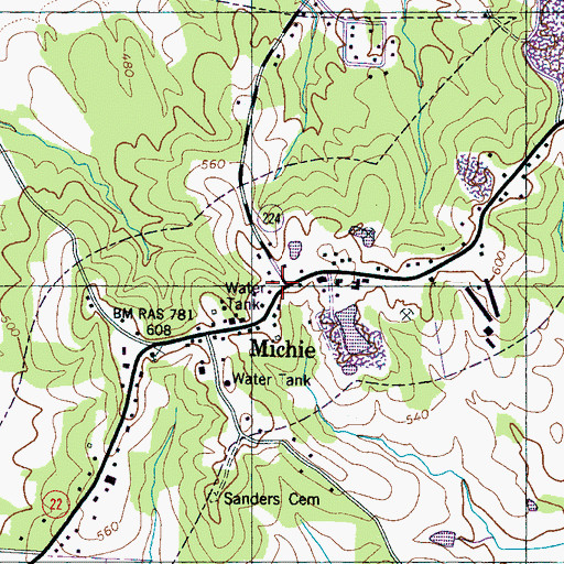 Topographic Map of Michie, TN