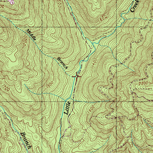 Topographic Map of Middle Branch, TN