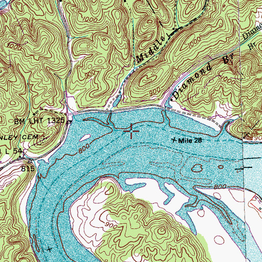 Topographic Map of Middle Branch, TN