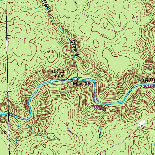 Topographic Map of Middle Branch, TN