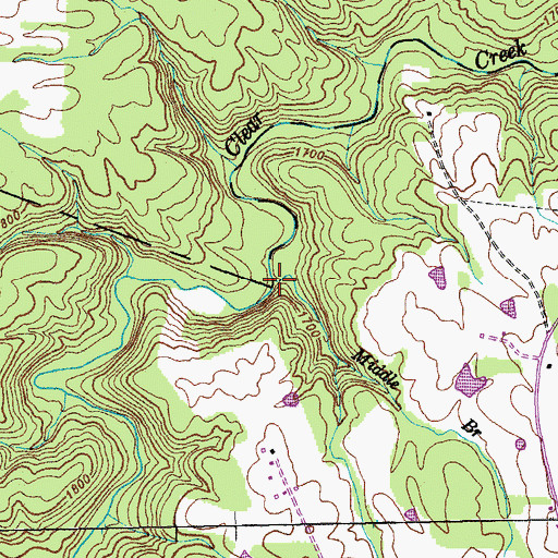 Topographic Map of Middle Branch, TN