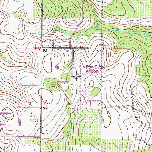 Topographic Map of Roy E Ray Airport, AL