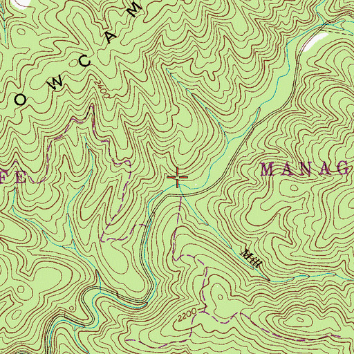 Topographic Map of Mill Branch, TN