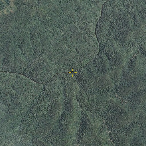 Aerial/Satellite Image of Mill Branch, TN