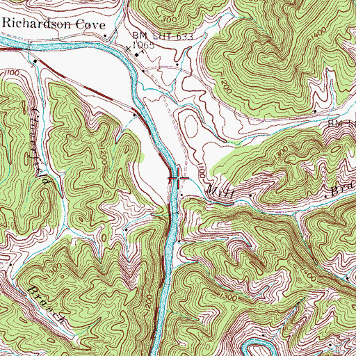Topographic Map of Mill Branch, TN