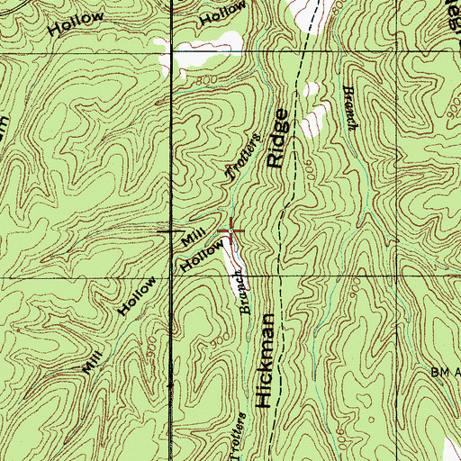 Topographic Map of Mill Hollow, TN