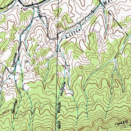 Topographic Map of Mill Rock Hollow, TN