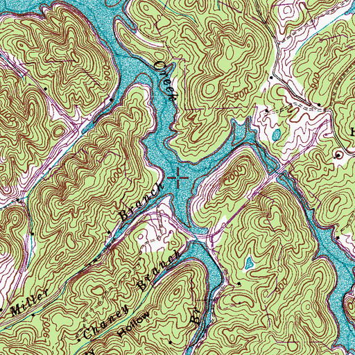 Topographic Map of Miller Branch, TN
