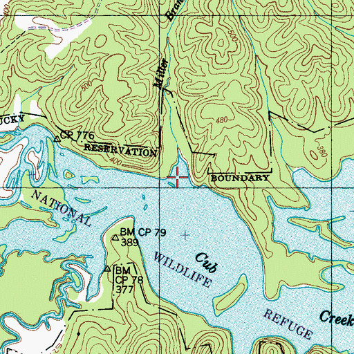 Topographic Map of Miller Branch, TN