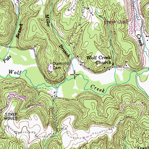Topographic Map of Miller Branch, TN