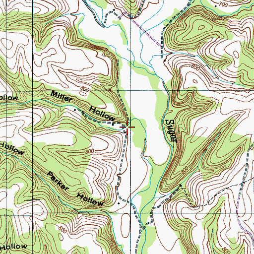 Topographic Map of Miller Hollow, TN