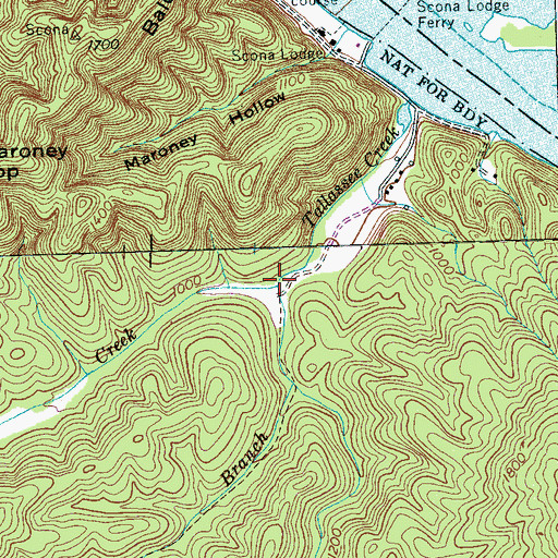 Topographic Map of Milligan Creek, TN