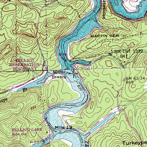 Topographic Map of Millsaps Branch, TN