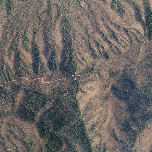 Aerial/Satellite Image of Millstone Gap, TN