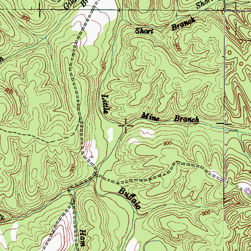 Topographic Map of Mine Branch, TN