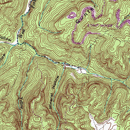 Topographic Map of Mineral Hollow, TN