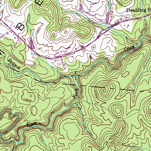 Topographic Map of Mineral Springs Branch, TN