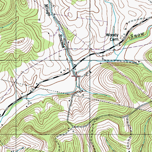 Topographic Map of Mingo Branch, TN