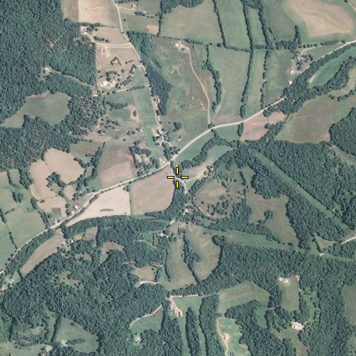 Aerial/Satellite Image of Mingo Branch, TN