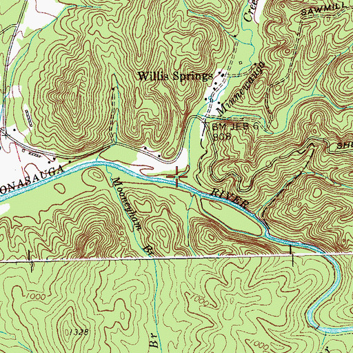 Topographic Map of Minnewauga Creek, TN