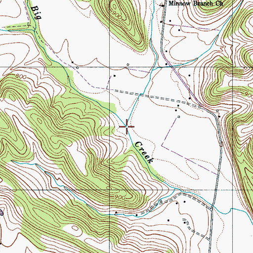Topographic Map of Minnow Branch, TN