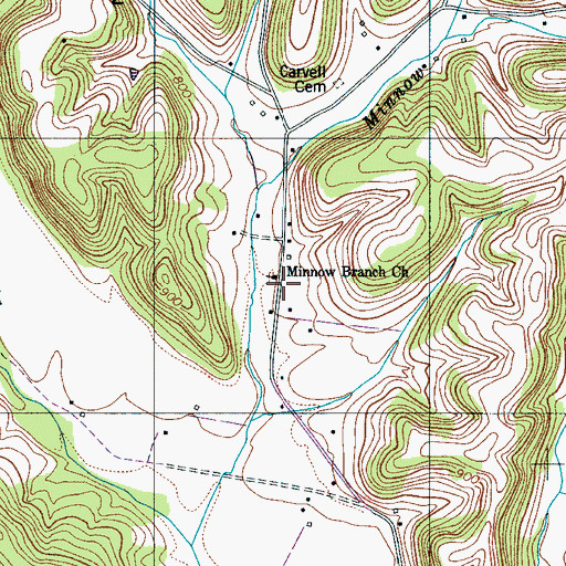 Topographic Map of Minnow Branch Church, TN