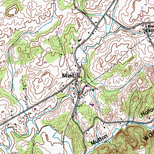 Topographic Map of Mint, TN
