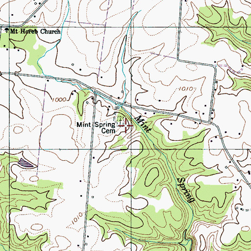 Topographic Map of Mint Spring Cemetery, TN