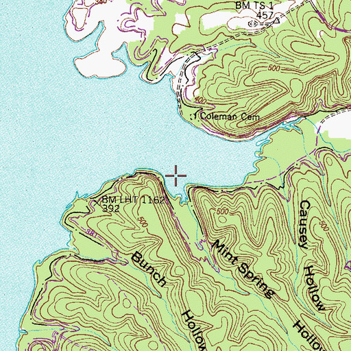 Topographic Map of Mint Spring Hollow, TN