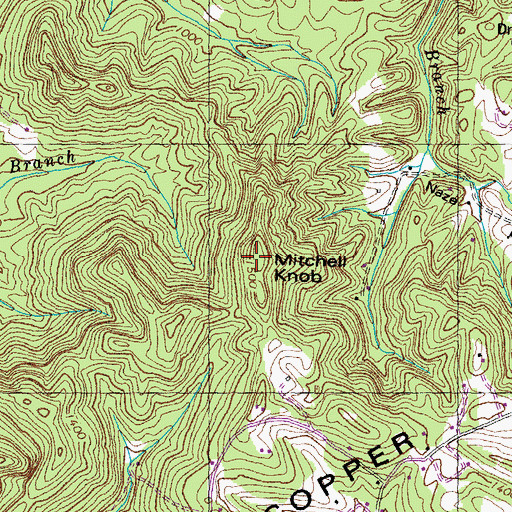 Topographic Map of Mitchell Knob, TN