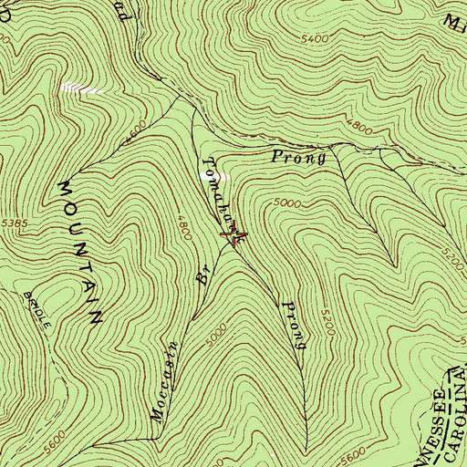 Topographic Map of Moccasin Branch, TN