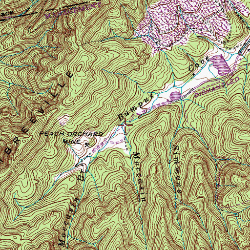 Topographic Map of Moccasin Branch, TN