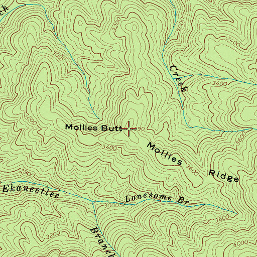 Topographic Map of Mollies Butt, TN