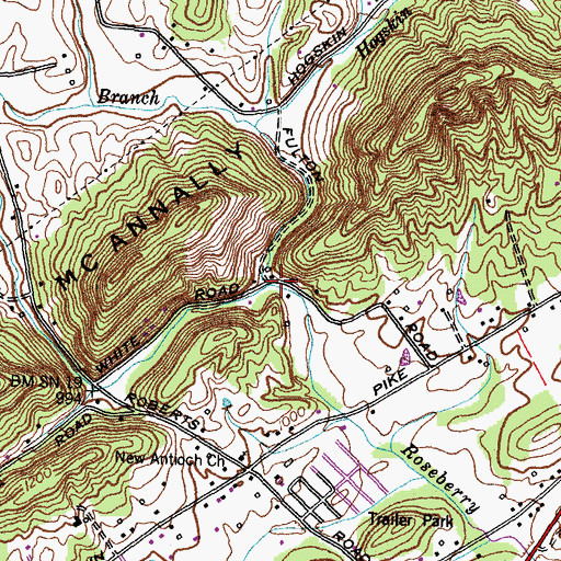 Topographic Map of Molly Branch, TN