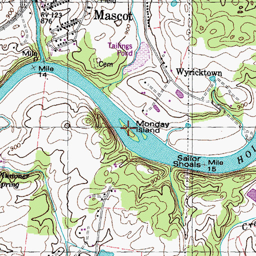 Topographic Map of Monday Island, TN