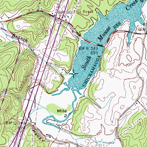 Topographic Map of Monk Branch, TN