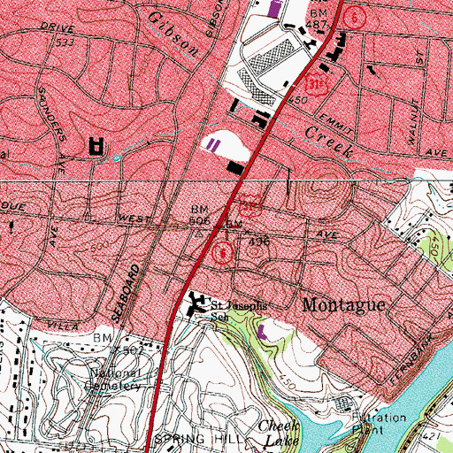 Topographic Map of Montague, TN