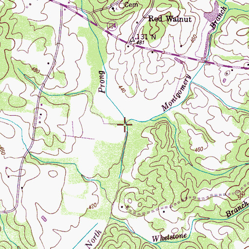 Topographic Map of Montgomery Branch, TN