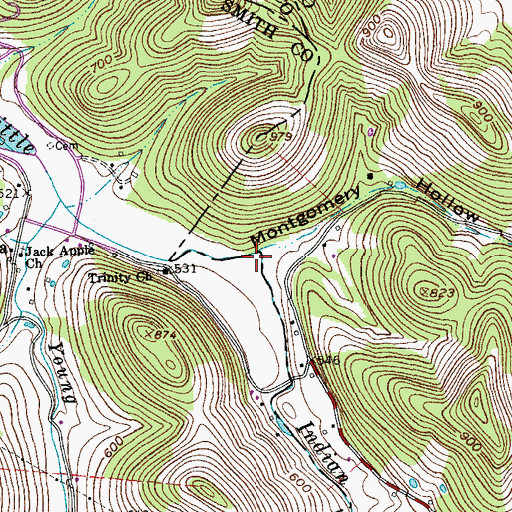 Topographic Map of Montgomery Hollow, TN